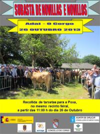 Boas perspectivas para a poxa de Adai